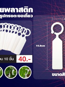  ป้ายเขียนชื่อต้นไม้ แทคติดต้นไม้ ป้ายห้อยต้นไม้ รูปทรงตะขอเกี่ยว ชุดละ 10 ชิ้น 