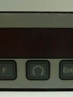 Esters Elektronik ,PMO 2101 G2, Prozessanzeiger Temperature