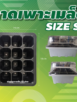  ถาดเพาะเมล็ด 12 ช่องปลูก Greenhouse_High Dome_Small 
