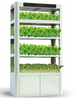  ชุดรางปลูกไฮโดรโปนิกส์ระบบ NFT 4 ชั้น พร้อมไฟ 