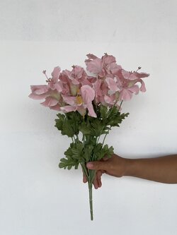 ช่อดอกชบา สีชมพูอ่อน Hibiscus