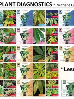  Poster Cannabis Plant Diagnostics โปสเตอร์บอกอาการต่างๆของต้นไม้ ขนาด A0 