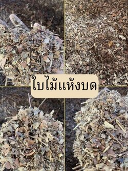 ใบไม้แห้งบด Leaf