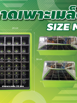  ถาดเพาะเมล็ด โคลนนิ่ง โดมสูง 24 ช่องปลูก ตู้อบ คุมความชื้น Greenhouse 