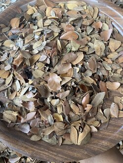 ใบก้ามปูแห้ง ใบจามจุรีแห้ง Claw leaf