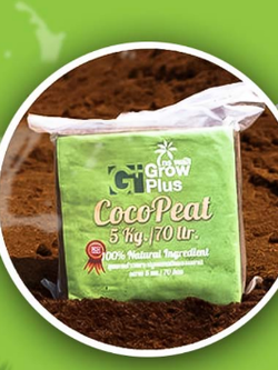 Coco Peat ขุยมะพร้าวอัดก้อน ขนาด 5 kg วัสดุปลูกคุณภาพสูง COA Certified