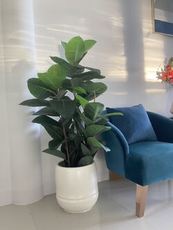 กระถางต้นไม้ตั้งพื้น Fiber clay