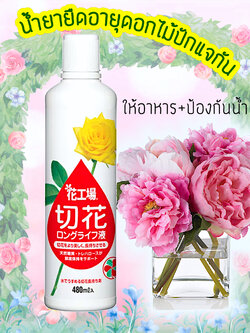 "Cut Flower Food"น้ำยายืดอายุดอกไม้ปักแจกัน ป้องกันน้ำเน่าเสีย ให้ดอกไม้สดใสคงทน