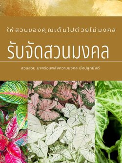 บริการรับจัดสวนมงคล