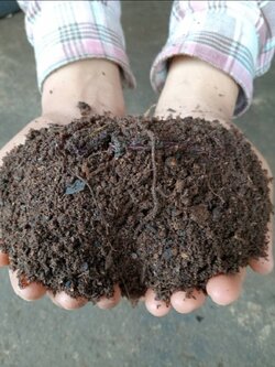 มูลไส้เดือน Vermicompost