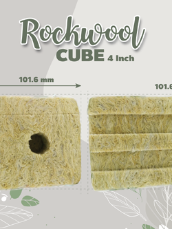  Rockwool cube 4 inch (ร็อควูล 4 นิ้ว) วัสดุปลูก ใยหิน 