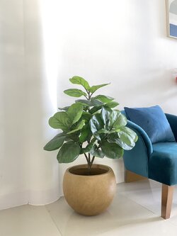 กระถางต้นไม้ตั้งพื้น Fiber clay