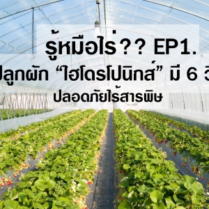 รู้ไว้ไม่ตกเทรนด์ : รู้หมือไร่ EP1. ตอน 6 วิธีปลูกไฮโดรโปนิกส์ไร้สารพิษ