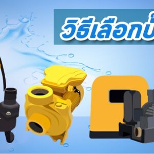 การดูแลปั๊มน้ำในอาคาร ควรเริ่มจาก