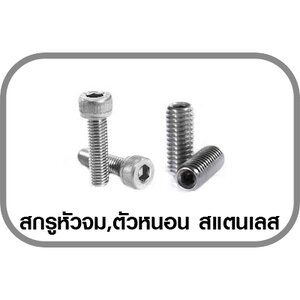 สกรูหัวจม,ตัวหนอน สแตนเลส