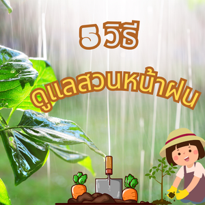 5 วิธี ดูแลสวนหน้าฝน
