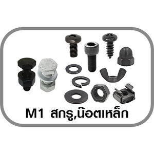 M1 สกรู,น๊อตเหล็ก