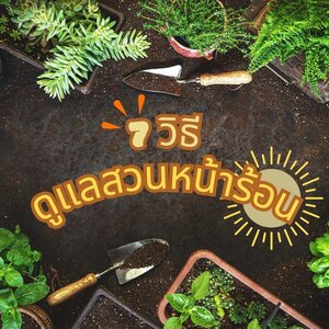7 วิธี ดูแลสวนหน้าร้อน