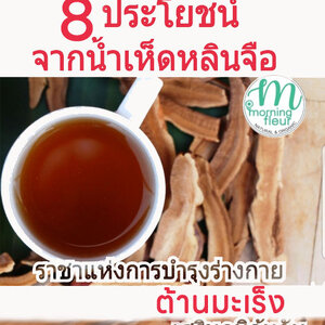7ประโยชน์จากน้ำเห็ดหลินจือ :: ราชาแห่งการบำรุงร่างกายเสริมภูมิคุ้มกัน