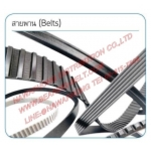 สายพาน ร่อง XL-หน้ากว้างอื่นๆสอบถามได้ที่ฝ่ายขาย