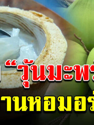 สอนทำวุ้นมะพร้าวน้ำหอม สูตรอร่อย แช่เย็นชื่นใจ ทำง่ายหวานหอมอร่อย