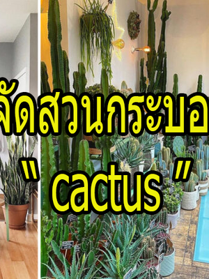 ไอเดียจัดสวนกระบองเพชร สำหรับคนที่ชอบมุมพักผ่อนสุดผ่อนคลายของ cactus