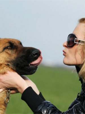 Doglovers จากเรื่องใกล้ตัวกลายมาเป็นธุรกิจสร้างรายได้ด้วยจุดเริ่มต้น จากความรักความชอบ