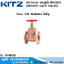 KITZ EB-Series ประตูน้ำ BRONZE (BRONZE GATE VALVE)
