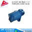 ZUZUMI AUTOJET 100 ปั๊มเจท 1"x1" 750W/220V H.50m 52L/m