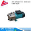 ZUZUMI JETS 80 ปั๊มเจท 1"x1" 550W/220V H.45m 45L/m