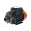 POLO QB-60B ปั๊มหอยโข่ง 1"x1" 0.5HP H.35m 38L/min