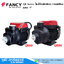FANCY QB Series ปั๊มหอยโข่ง 1" 220V