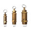 วาล์วนิรภัย,โปโลลม (SAFETY VALVE) ทองเหลือง เกลียวBSPT