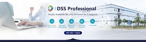 ชุดคำสั่ง (DSS Professional Software)