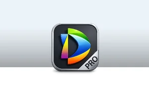 ชุดคำสั่ง (DSS Professional Software)