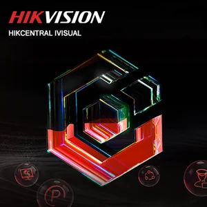 HikCentral iVisual HikCentral iVisual